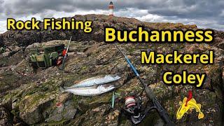 Rock Fishing Buchanness, Aberdeenshire, North East Scotland, Mackerel & Coley