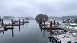 WHALE WATCHING TOUR WITH TOFINO RESORT & MARINA