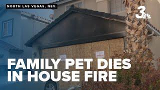 North Las Vegas family deals with injury, pet death after house fire