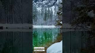 الشتاء في النمسا ️ #shorts #austria #النمسا #österreich #nature #shortsyoutube