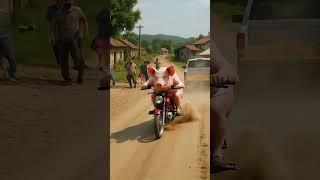 This Pig’s Got Skills!  #village #funny #ai #pig #bike #viralvideo #viralshorts #trending #aiart