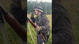 Открытие сезона на утку осень 2024 г. #охота #hunting #выстрел #shorts #манок #утка