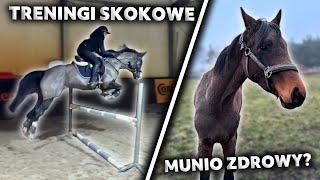 ROBIMY MUNIOWI TUV! | Treningi skokowe 🩷| Stajenny VLOG 