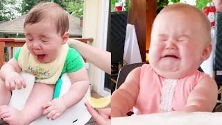 New Funny Babies Eating Lemons For The First Time|Funny And Cute Baby Reaction Videos