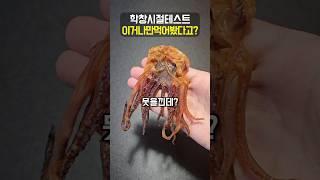 내가 학교를 다녔던 이유