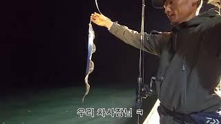 현주피싱!! 텐야텐빈 갈치 사이즈 더 좋아졌습니다!!! 담구면 느나느나!! 역대급 조황~