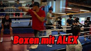 Offenes Training mit MIR/AlexOkafor