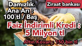 Arıcılık için Yeterli Sermayeniz Yokmu ? İşletmenizi Büyütmek mi İstiyorsunuz ? İşte fırsat #shorts