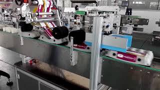 Automatic egg tray egg box egg carton labeling machine-SKILT Machinery