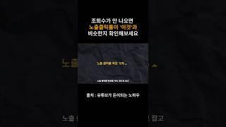 조회수가 안 나오면 노출클릭률이 '이것'과 같은지 확인해보세요