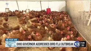 Governor DeWine addresses bird flu outbreak in Ohio