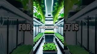 Unveiling Dr. Ivan Lee's Advancements in Space Farming