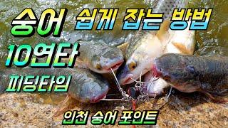 숭어 쉽게 잡는 방법 / 숭어 원투 찌낚시 / 인천 숭어 포인트 대매도랑교 / mullet fishing