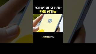 현재 쓸모없다고 난리난 카톡 신기능
