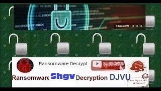 Ransomware Decryption Stop DJVU Virus Shgv