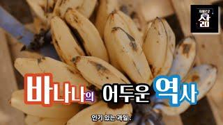 바나나의 어두운 역사와 미래