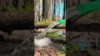 The flood in the dugout. I can't go inside. I'm pumping out the water  #bushcraft #shelter #short