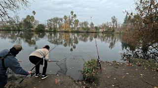 The Waters ALIVE! Fishing MONSTER Carp! The Spots HOT!