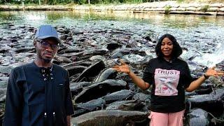 HE LEFT AMERICA TO ESTABLISH THE BIGGEST FISH FARM IN NIGERIA | MAKING MILLIONS FARMING IN AFRICA