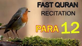 Quran Para 12 ; Fast Quran | Beautiful Recitation of Quran |Raheemi Tv