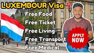 How to apply Luxembourg Visa 2025 | Luxembourg Top Visa offering Companies | Apply Now ! #luxembourg