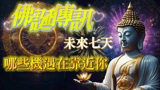 #塔羅占卜【佛誕傳訊】接收好運｜未來七天哪些機遇在靠近你？哪些好運即將降臨｜事業/愛情/家庭/財富/健康/靈性指數