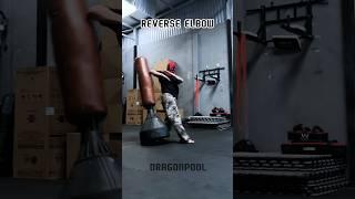 Reverse elbow #tutorial #training #shortsvideo #usa #india #shortvideo #yt #ytshort #ytshorts #mma