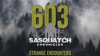 SC EP:603 Strange Encounters