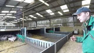 Tutor Tours | Agriculture at Sparsholt College