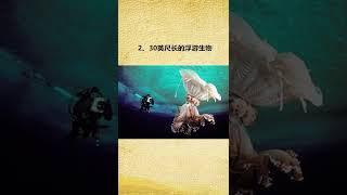 奇闻异事 奇闻趣事 奇闻怪事 奇闻档案录 涨知识 冷