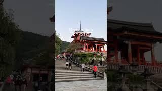 Kiyomizu - Dera - Temple - Kyoto  #japan #japantravel #japantrip #japangram #kyotojapan