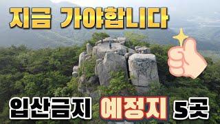 지금 꼭 가봐야할 등산코스ㅣ곧 입산금지 될 수 있는 5개 코스