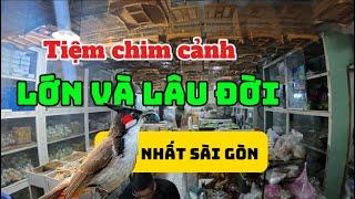 Tiệm chim cảnh lâu đời và lớn gần nhất Sài Gòn. Tiệm chim cảnh Chín Đào