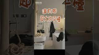 超夢幻微水泥大平檯-設計師的浴室改造【聊寓市集】 #微水泥 #室內設計 #貓 #shorts #浴室