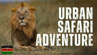 Nairobi National Park | A Safari in the Heart of the City !