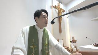 [매일미사 강론] 연중 제10주간 화요일 강론(마태 5,13-16) "세상의 소금과 빛으로 살아가기"