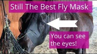 Best Fly Mask- You Can See The Eyes While It's On!