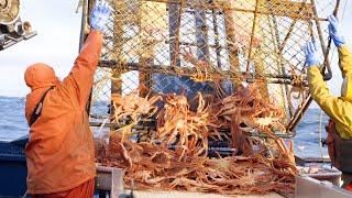 It's amazing! Fishing crabs in the Bering Sea, every crab pot is full, and you can make $1 million