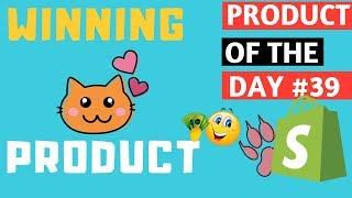 How To Find Winning Cat Products Doing Dropshipping From China - Shopify Tutorial For Beginners