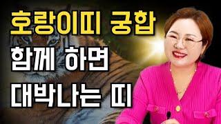 호랑이띠 띠별궁합 호랑이띠와 가장 좋은 띠와 피해야할 띠 알려드려요~