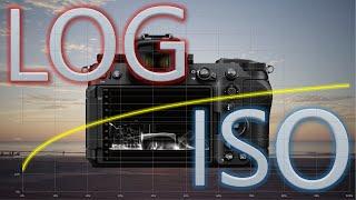 Demystifying Log ISO, Exposure, and Noise