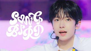 240724 NCT WISH 엔시티 위시 'Songbird' 유우시 직캠 YUSHI FANCAM｜ENA K-POP UP CHART SHO