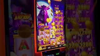 TORO TORO CASH OLE SLOT MACHINE WIN! #slot #slotbigwin #casino