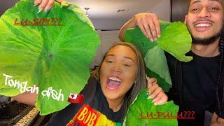 How to : LU SIPI AND LU PULU ( Tongan Dish) 