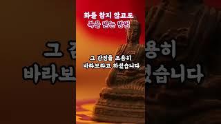 부처님 말씀 화를 참지 않고도 복을 받는 방법|불교수행|감정조절|명상과지혜|등불편지|복받는방법|마음수행|마음치유|불교오디오북