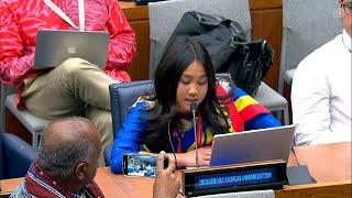 Second intervention by Priscilla Kim Ong on Item 5(a) Indigenous Peoples dialogue at the #UNPFII21