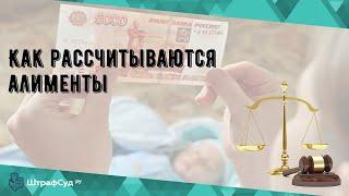 Как рассчитываются алименты