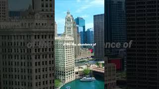 Living in Chicago Illinois | #chicagorealestate #Chicago #livinginchicago