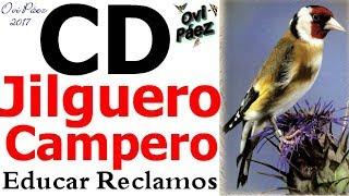 Canto del jilguero CD campero para educar noveles reclamos