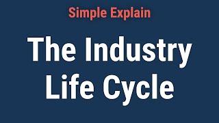 What Is the Industry Life Cycle?